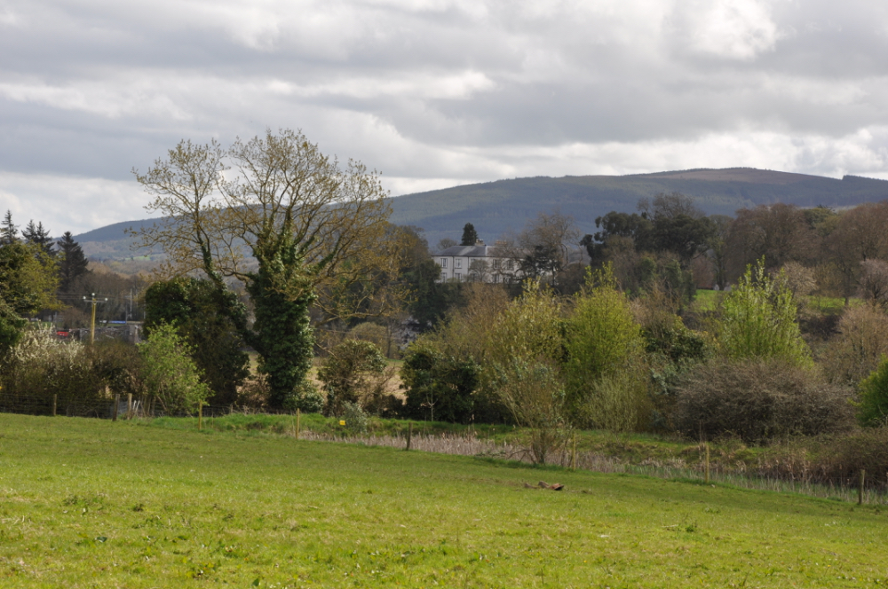 Ballygriffin Pilgrimage