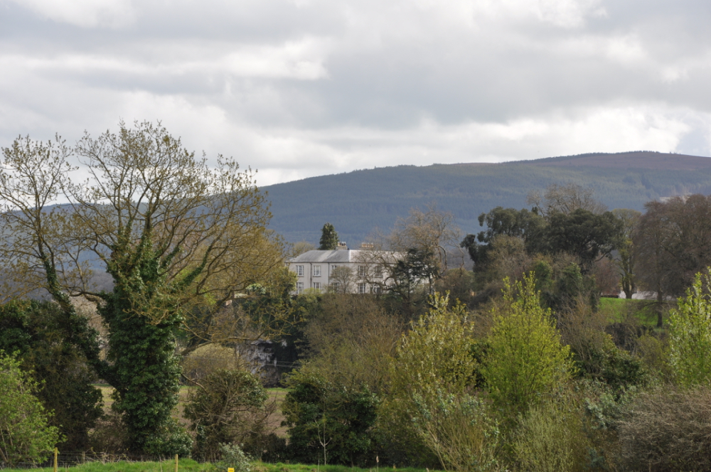 Ballygriffin Pilgrimage